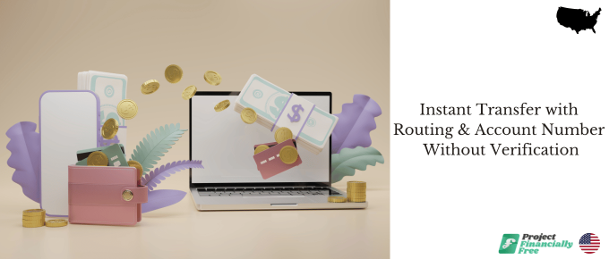 Instant transfer with routing and account number without verification